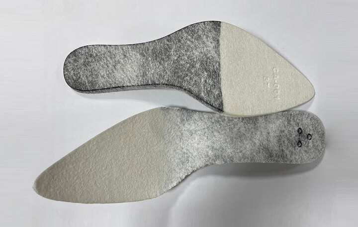 Footwear Accessory Application 1